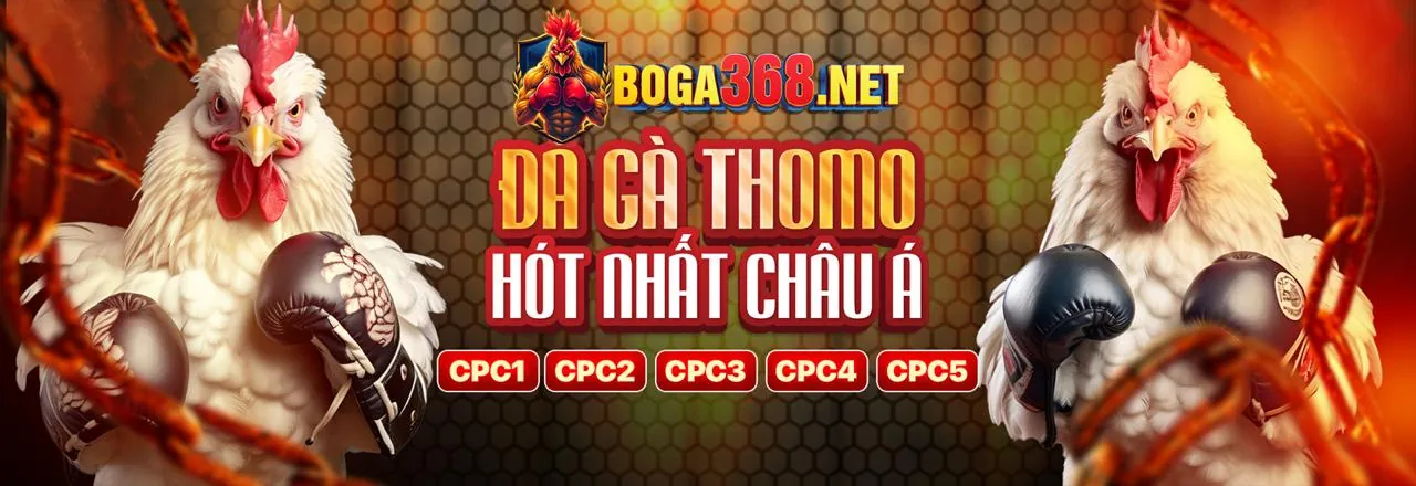 Thưởng nạp lại hàng ngày cho cá cược thể thao tại Kimsa